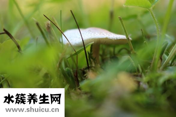 痦子和痣的區(qū)別