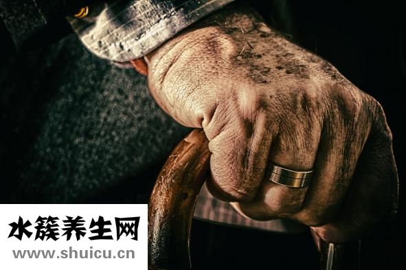 生芝麻可以吃嗎