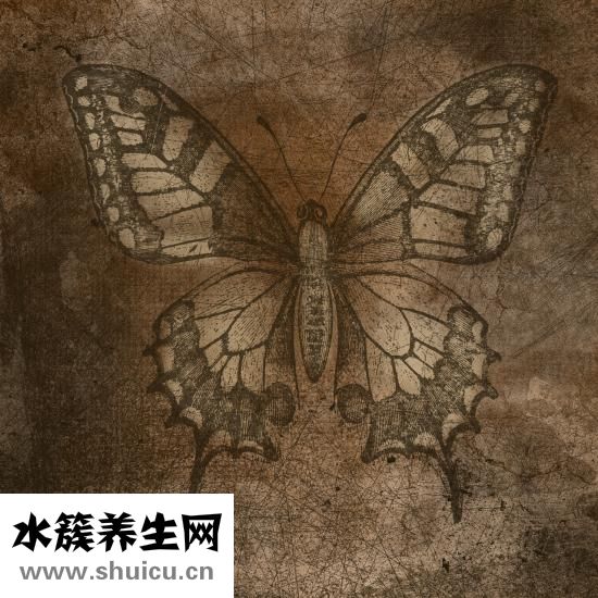 陰道炎怎么治療