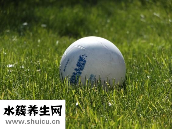 棗子的功效與作用