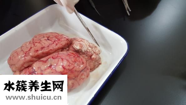 淋巴排毒怎么排