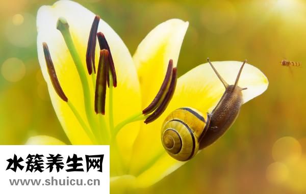 肝病會不會傳染