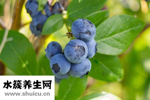 手腳麻木怎么治