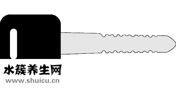 腎上腺素多少錢一支