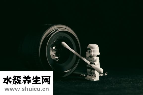 蒜蓉粉絲蒸鮑魚