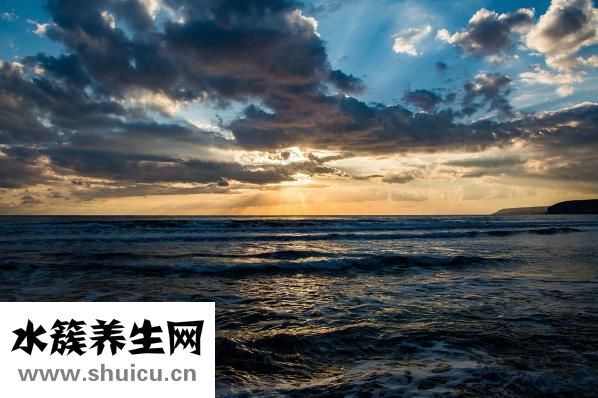 怎樣預(yù)防中風(fēng)