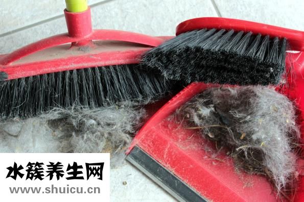 鴨子怎么脫毛快