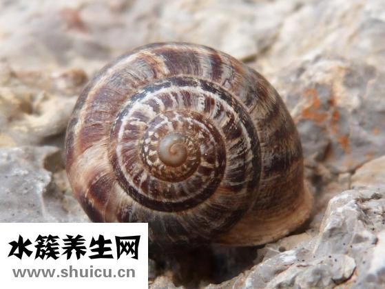 肝病會不會傳染