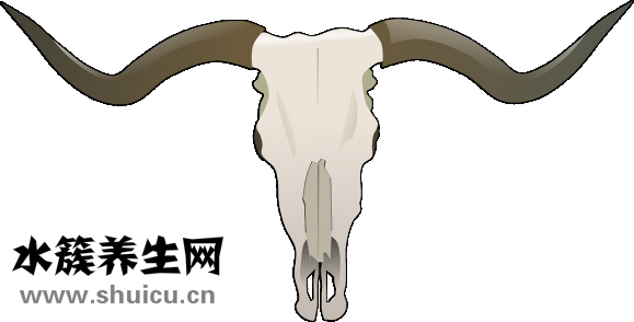 查頸椎病掛哪個(gè)科