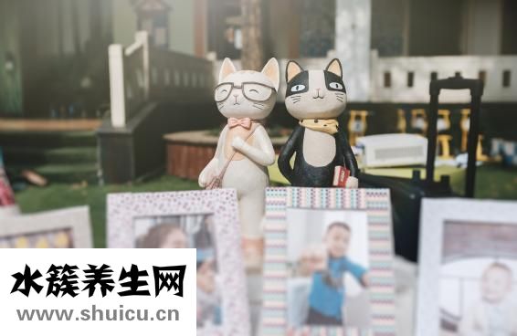 無糖食品有哪些東西