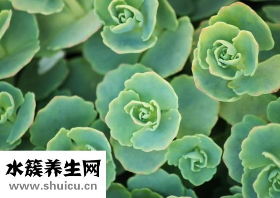 遺尿是怎么回事