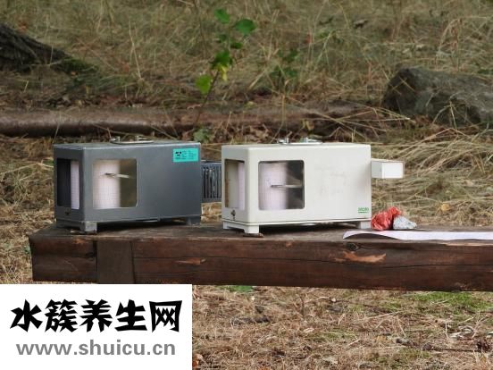 頭圍是什么意思