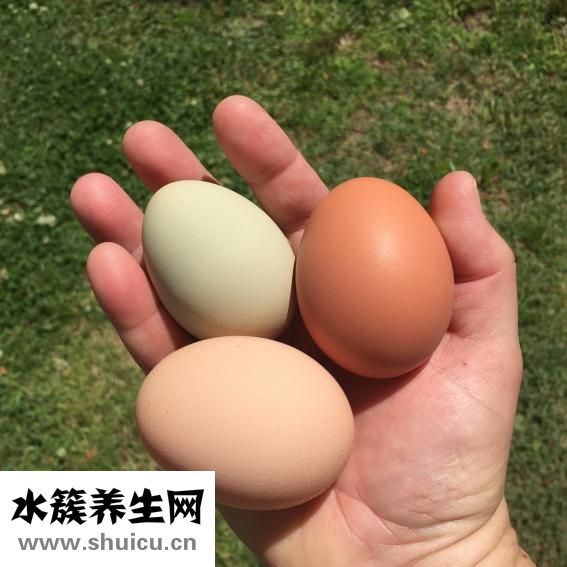 韭菜炒雞蛋的功效