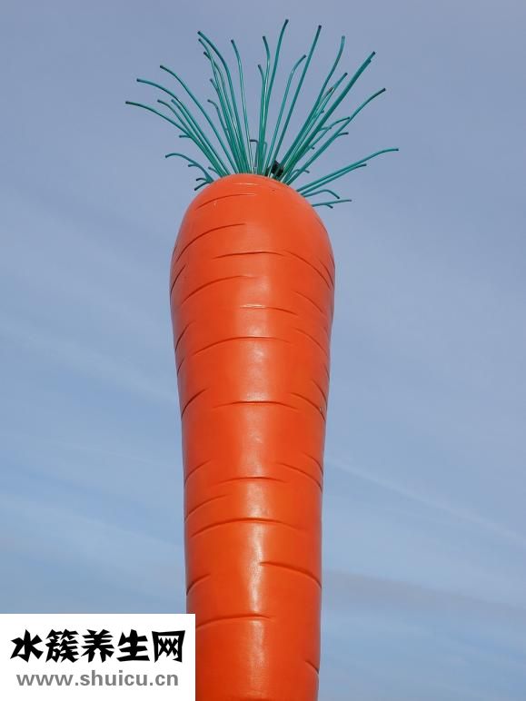 高纖維的蔬菜水果