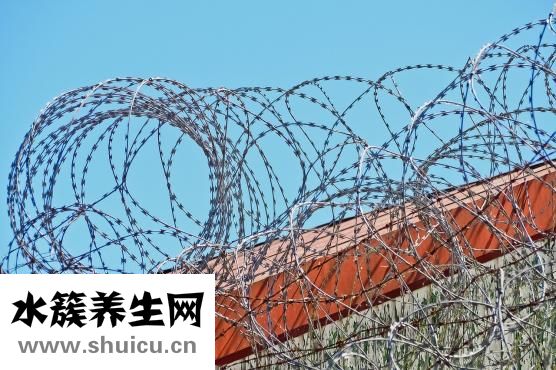 猩紅熱早期癥狀圖片