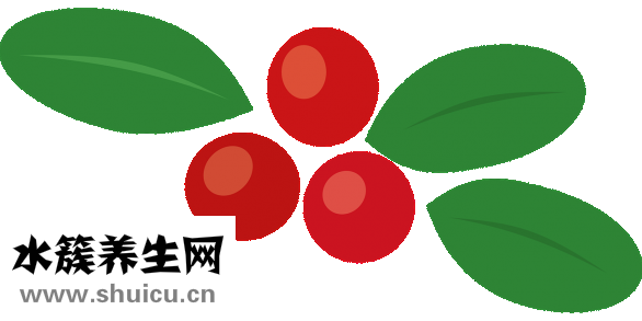 痛風吃什么水果好