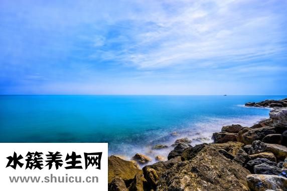 木瓜牛奶怎么煮