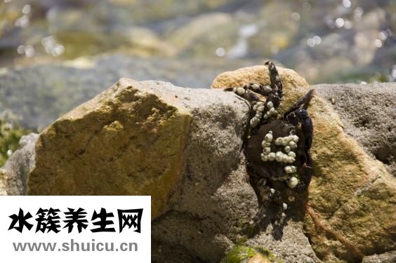 肝上長(zhǎng)腫瘤好治嗎