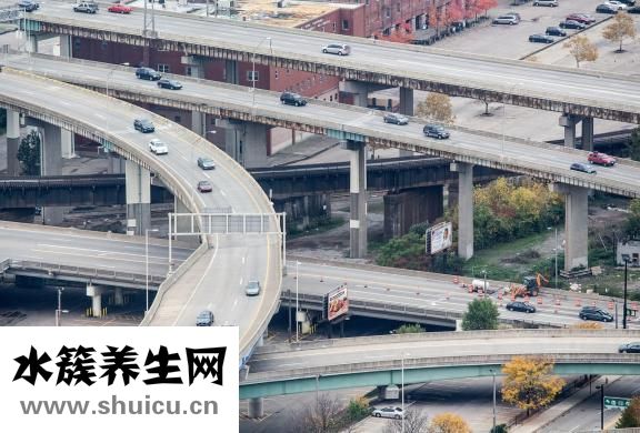 新鮮椰子肉最佳吃法