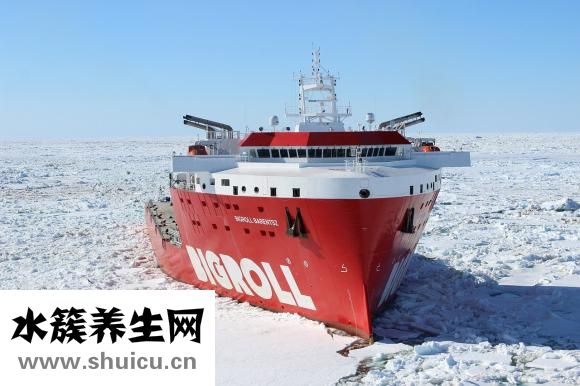 腮腺體肥大的癥狀