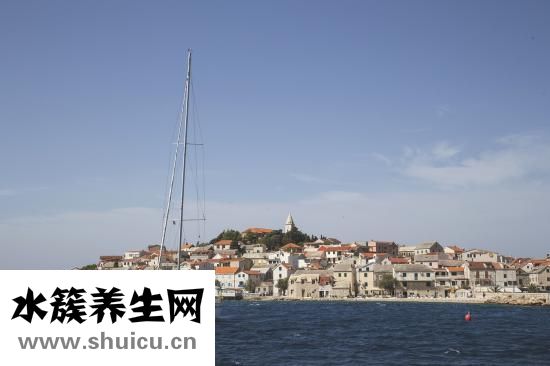 止痛針有哪幾種