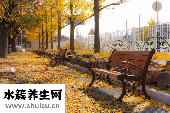 銀杏酮酯分散片