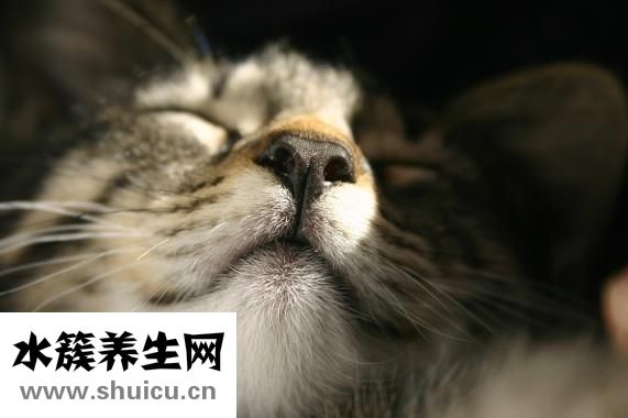 隆鼻價(jià)格多少錢