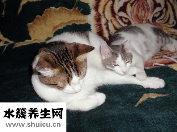 脖子疼是怎么回事