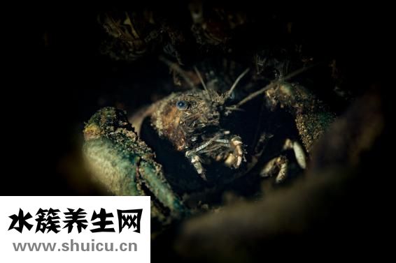 胸部有結節怎么辦