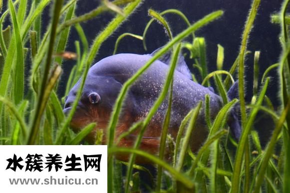 藥物流產(chǎn)多少錢費(fèi)用