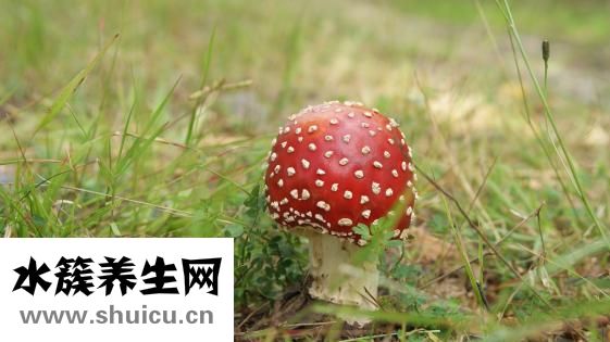 腰花怎么炒好吃