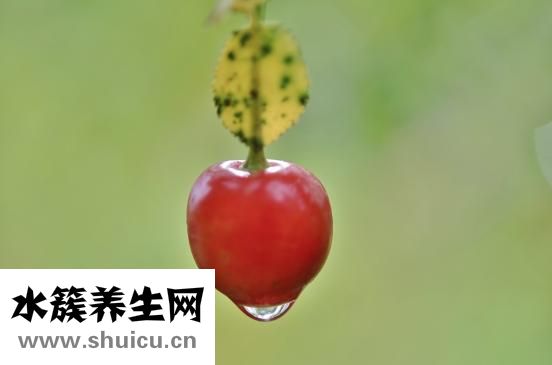 未婚女性婦科檢查