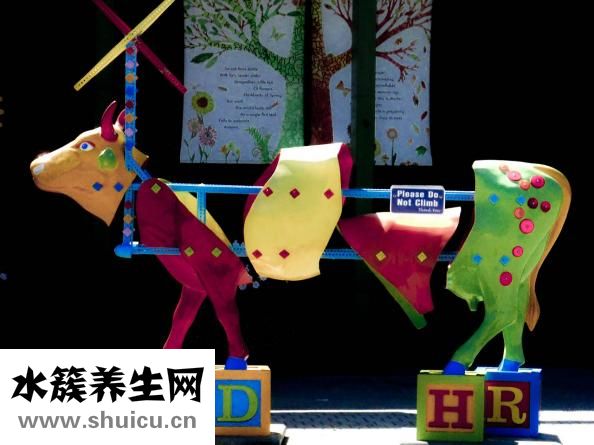 舒筋活絡健腰丸