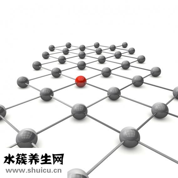 銀杏酮酯分散片