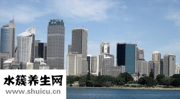 西洋參價(jià)格表