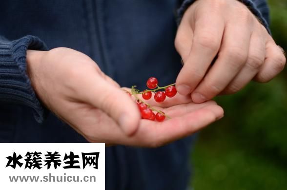 螃蟹的營養(yǎng)價值