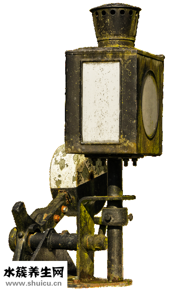 電動牙刷怎么拆