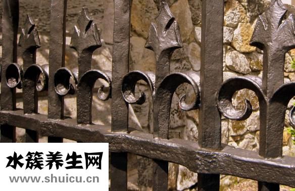 胎盤位于子宮后壁