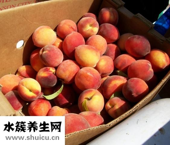 楊桃的功效和作用