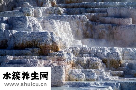 孕婦可以吃木耳