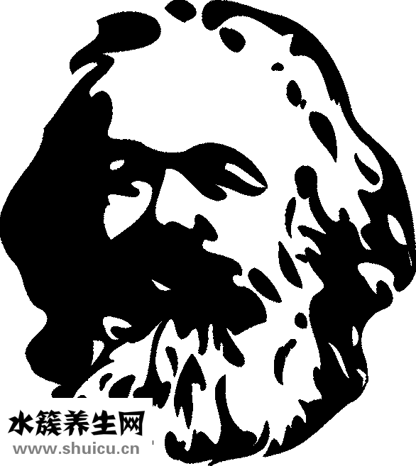 精神病咨詢(xún)