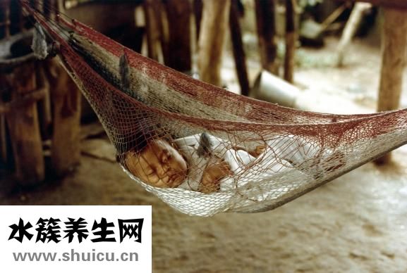 胎盤長(zhǎng)什么樣子圖片