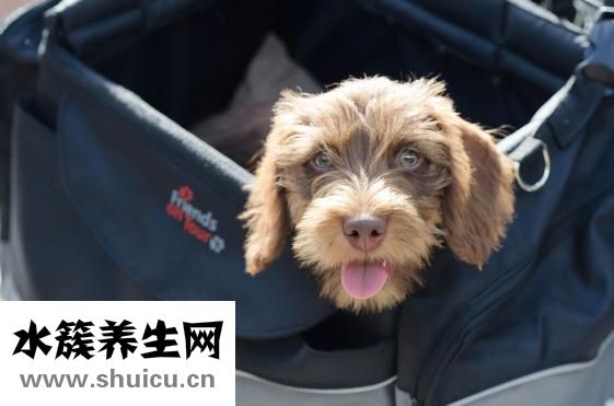 舌苔發黃怎么辦