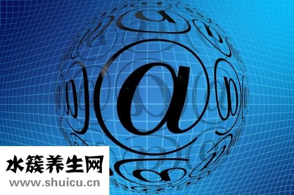 電子體溫計怎么用