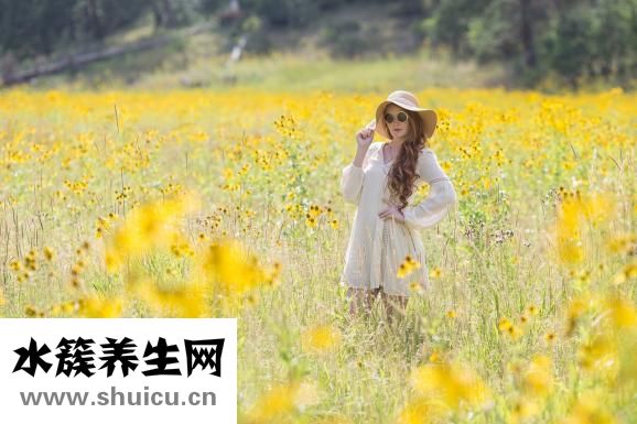 香菇湯怎么做好喝