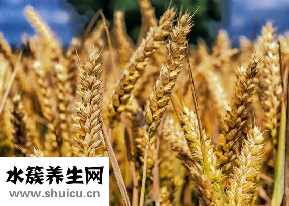 面粉保質(zhì)期