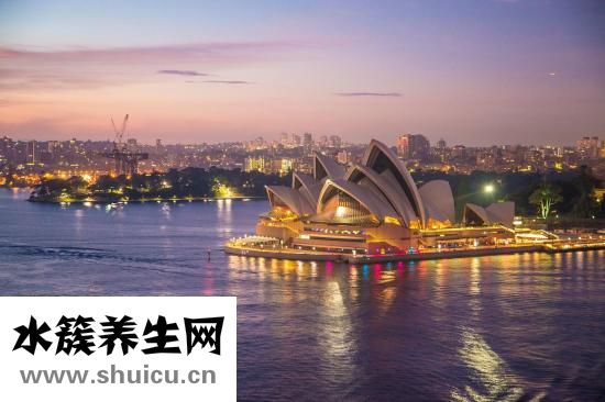 西洋參價(jià)格表