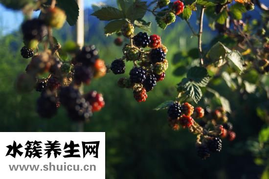 怎樣治療牙周炎