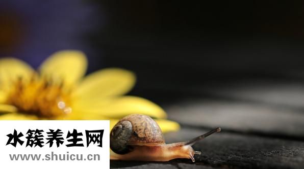 溫度計怎么看水銀線