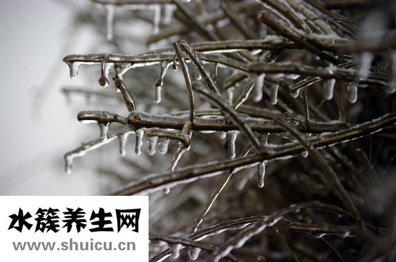 速凍水餃煮多久